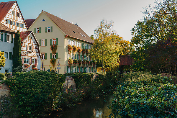 포토 JPG 해외이미지 전통 외관 유럽 문화 여행 건축양식 하늘 거리 주택 독일 풍경 사람없음 야외 건물 가로 여름 파란색 도시풍경 컬러풀 햇빛 여행객 정원 도시 센터 중세 역사 타운 이웃 랜드마크 옛날 인기 전국 해외202310 해외포토 건축물 계절 건축 나라 컬러 사람 태양 파일형식
