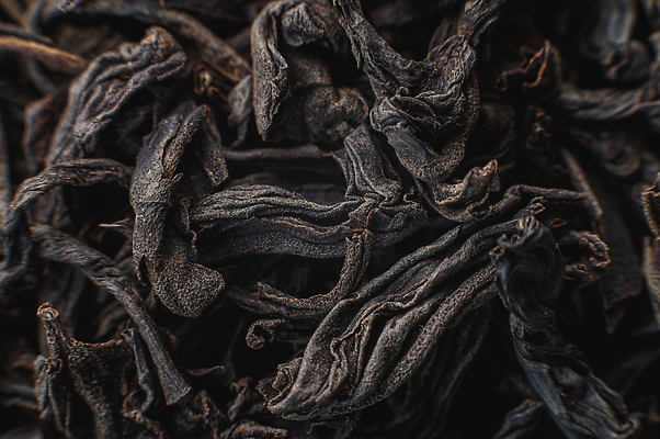 포토 JPG 해외이미지 음료 잎 패턴 재료 자연 건조 건강 사람없음 검은색 중국 닫기 차 큼 인도인 허브 유기농 질감 아로마 향 흙더미 내추럴 해외202310 해외포토 외국인 식물 웰빙 아시아 컬러 무늬 모션 동양인 흙 크기 생태계 파일형식 더미