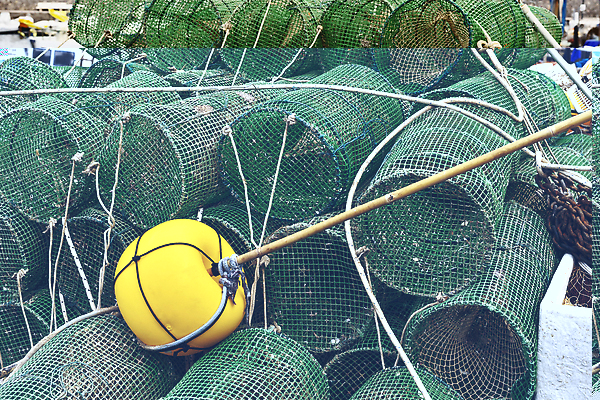 포토 JPG 해외이미지 낚시 항해 어류 취미 사람없음 야외 초록색 잡기 그물 질감 어장 올가미 해외202310 해외포토 컬러 배_교통 모션 레저 수중동물 파일형식