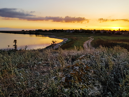 포토 JPG 해외이미지 식물 계절 꽃 호수 바다 컬러 여행 백그라운드 밭 농업 오렌지 자연 하늘 사람없음 야외 초록색 물 파란색 빛 태양 뷰티 노란색 일출 일몰 시골 만 티켓 저녁 허브 7월 내추럴 수평선 해외202310 해외포토 자연요소 산업 과일 노을 날짜 야간 생태계 파일형식