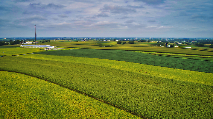 포토 JPG 해외이미지 식물 지구 음식 백그라운드 패턴 밭 농업 자연 안테나 옥수수 풍경 사람없음 야외 초록색 여름 농작물 농장 농경지 노란색 환경 농사 봄 수확 성장 시골 땅 밀 만취 유기농 내추럴 항공촬영 드론 밭일 조감도 수평선 세련 해외202310 해외포토 웰빙 계절 산업 뷰포인트 컬러 무늬 통신 곡류 생태계 술취함 파일형식