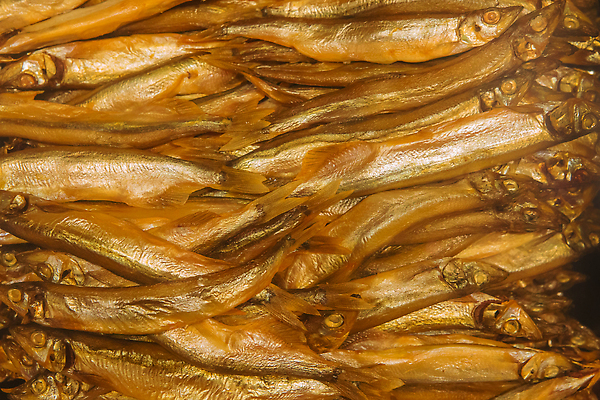 포토 JPG 해외이미지 그릇 접시 음식 바다 백그라운드 다이어트 재료 건강 어류 요리 사람없음 옆모습 파란색 일본 식사 줄무늬 튀김 흰색 신선 잡기 원형 시장 플랫 맛 애피타이저 은색 작음 먹기 해산물 준비 날것 고립 깊이 청어 칼슘 맛있는 해외202310 해외포토 도형 식기 아시아 뷰포인트 컬러 컨셉 무늬 모션 수중동물 크기 파일형식