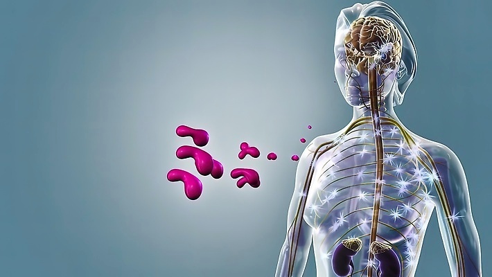 포토 JPG 해외이미지 과학 백그라운드 신체 일러스트 건강 사람 사람없음 내부 그래픽 약 머리 오르간 코드 불안 척추 뇌 생물학 시스템 목 개발 고립 돌봄 종양 해외202310 해외포토 교육 감정 의학 모션 뼈 신체부위 건반악기 파일형식