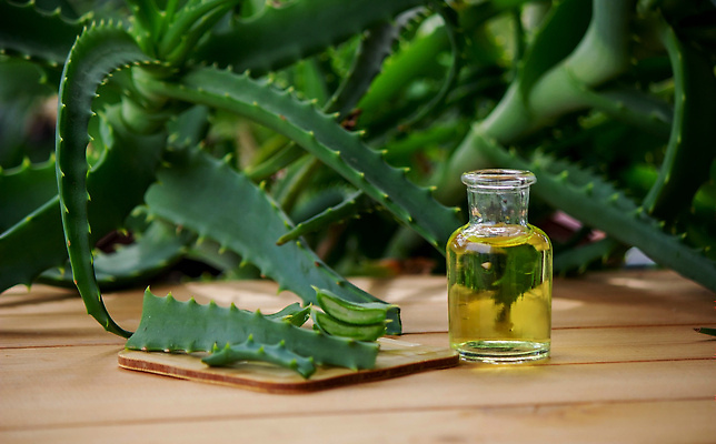 포토 JPG 해외이미지 식물 얼굴 백그라운드 잎 재료 자연 유리 선인장 건강 가면 사람없음 치료 초록색 물 뷰티 약 스파 주스 화장품 젖음 흰색 신선 마사지 떨어짐 약국 허브 피부 순수 피부관리 유기농 로션 아로마테라피 테라피 내추럴 고립 다육식물 돌봄 알로에 해외202310 해외포토 자연요소 웰빙 음료 컬러 컨셉 의학 모션 재질 신체부위 생태계 파일형식