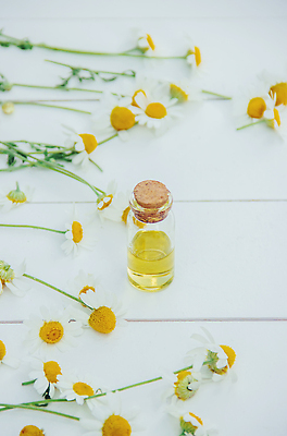 포토 JPG 해외이미지 꽃잎 유리병 사람없음 오일 캐모마일 해외202310 해외포토 꽃 음식 병_용기 화장품 허브 파일형식