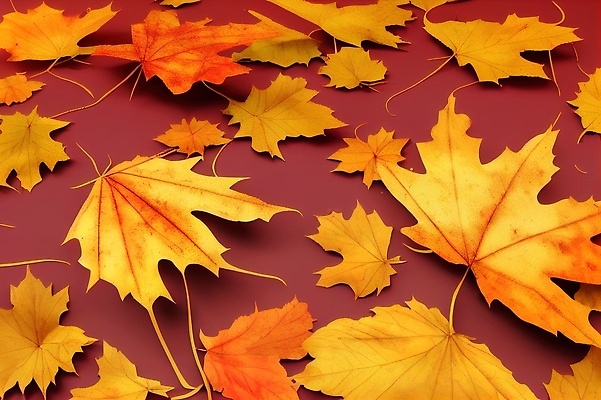 포토 JPG 해외이미지 계절 포스터 단풍 스티커 잎 이벤트 사람없음 빛 쇼핑 노란색 3D 꼬리표 라벨 세일 놀람 수확 인사 퍼센트 황금 떨어짐 구매 상품 가격 11월 만화 서비스 주기 쿠폰 상업 만들기 초대 추수감사절 소매 승진 10월 구성 마케팅 매각 소셜미디어 카피스페이스 제의 해외202310 해외포토 식물 감정 기독교 컬러 컨셉 농업 모션 프레임 표정 공백 예절 날짜 특수기호 디지털합성 파일형식