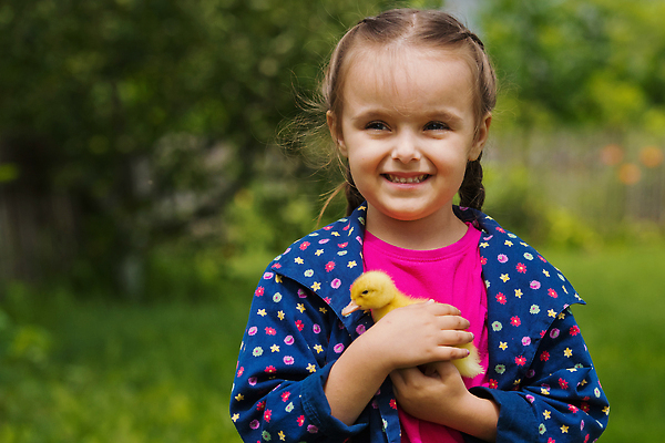 포토 JPG 해외이미지 동물 백인 라이프스타일 손 여자 행복 어린이 백그라운드 컨셉 자연 놀이 조류 오리 한명 미소 야외 초록색 반려동물 뷰티 노란색 정원 표현 잡기 작음 부드러움 조심 솜털 해외202310 해외포토 서양인 1 감정 컬러 모션 표정 사람 생활 신체부위 감각 크기 생태계 파일형식