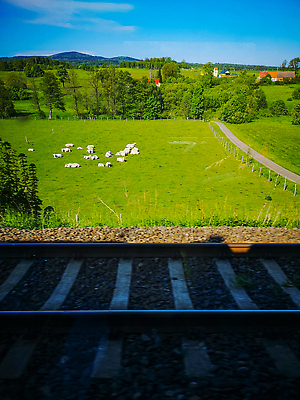 포토 JPG 해외이미지 나무 식물 응시 계절 공원 유럽 여행 밭 농업 자연 하늘 산 풍경 사람없음 야외 초록색 여름 파란색 달리기 뷰티 농장 환경 계곡 봄 기차 시골 언덕 폴란드 해외202310 해외포토 시선 공공시설 나라 산업 육상교통 컬러 모션 대중교통 생태계 파일형식
