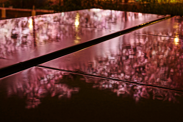 포토 JPG 해외이미지 식물 전통 꽃잎 꽃 감정 문화 분홍색 잎 자연 하늘 사람 풍경 사람없음 야외 건물 목재 도시풍경 일본 고층빌딩 봄 슬픔 도시 도쿄 야간 해외202310 해외포토 자연요소 나무 건축물 계절 아시아 컬러 재료 빌딩 생태계 파일형식