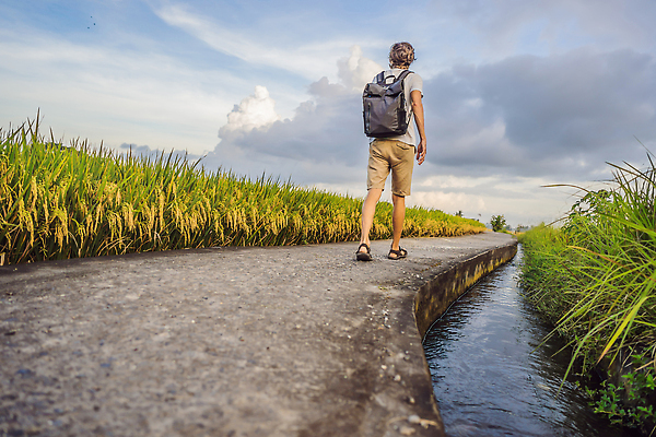 포토 JPG 해외이미지 식물 구름 라이프스타일 남자 유럽 아시아 여행 백그라운드 밭 배낭 자연 하늘 밥 휴가 산 한명 사람 풍경 소년 야외 초록색 뷰티 농장 여행객 환경 계곡 중국 하이킹 자유 안개 정상 베트남 격려 계단식 백패커 생태학 혼자 해외202310 해외포토 자연요소 1 교육 감정 나라 어린이 음식 컬러 컨셉 농업 가방 모션 레저 날씨 생활 동남아시아 생태계 파일형식