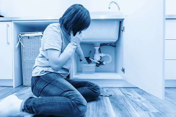 포토 JPG 해외이미지 손 여자 컬러 장갑 주택 한명 사람 물 파란색 스마트폰 주방 손상 방 젖음 흐름 긴급 잡기 액체 수리 떨어짐 빨래 플라스틱 홍수 양동이 서비스 싱크대 수도꼭지 파이프 충격 부름 문제 낭비 배수구 깨짐 단절 배관공 파이프라인 해외202310 해외포토 자연요소 1 잡화 컨셉 가사 모션 재질 건물 신체부위 핸드폰 스마트기기 자연재해 개수대 파이프_관 파일형식