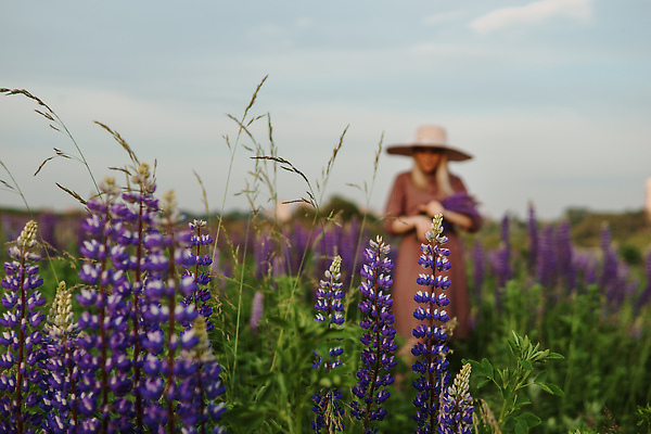 포토 JPG 해외이미지 드레스 꽃 행복 밭 자연 날씨 휴식 친절 건강 한명 잔디 야외 금발 햇빛 뷰티 걷기 보라색 화목 산책 기쁨 낭만 자유 신선 분위기 호흡 땅 허브 향수 주말 부드러움 밀짚 라일락 무료 해외202310 해외포토 식물 1 헤어스타일 옷 감정 컬러 컨셉 농업 모션 사람 태양 화장품 감각 짚 생태계 파일형식