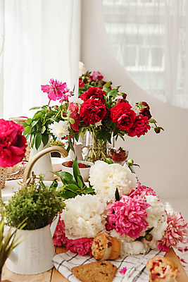 포토 JPG 해외이미지 무료이미지 꽃 화분 사람없음 꽃병 해외202310 해외포토 식물 파일형식 무료콘텐츠