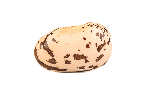 포토 JPG 해외이미지 식물 음식 컬러 백그라운드 농업 다이어트 채소 재료 콩 건조 건강 요리 씨앗 사람없음 갈색 흰색 신선 신장 닫기 낟알 유기농 날것 내추럴 고립 단백질 식용 채식주의자 맛있는 해외202310 해외포토 웰빙 산업 모션 곡류 비뇨기관 채식 영양소 파일형식