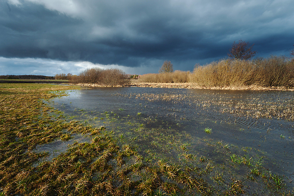 포토 JPG 해외이미지 나무 구름 계절 백그라운드 밭 자연 하늘 날씨 풍경 사람없음 야외 초록색 물 파란색 빛 뷰티 환경 어둠 봄 회색 젖음 시골 변화 습지 위험 큼 홍수 웅덩이 장면 폭풍 폴란드 내추럴 뇌우 재앙 폭풍우 수평선 해외202310 해외포토 자연요소 식물 유럽 컬러 컨셉 농업 비_날씨 크기 자연재해 생태계 파일형식