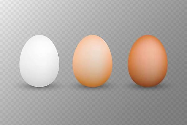 EPS 해외이미지 무료이미지 일러스트 사람없음 계란 오브젝트 해외202310 해외일러스트 알 파일형식 벡터 무료콘텐츠