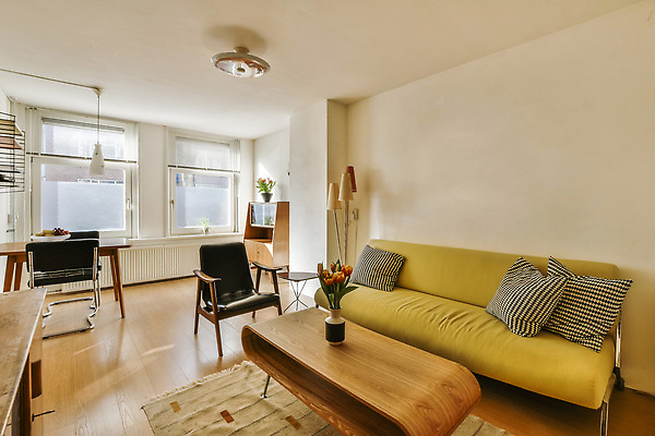 포토 JPG 해외이미지 쿠션 의자 식탁 탁자 사람없음 인테리어 소파 꽃병 카펫 공간 방 스탠드 나무바닥 해외202310 해외포토 디자인 꽃 가구 조명 바닥 파일형식