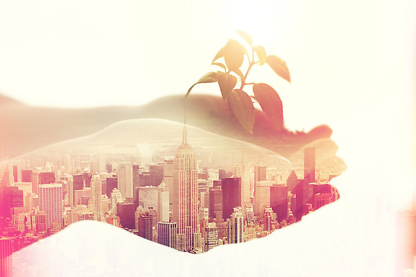 포토 JPG 해외이미지 식물 손 비즈니스 미래 건물 신체부위 도시 합성 경영 다중노출 해외202310 해외포토 건축물 컨셉 촬영기법 사람 파일형식