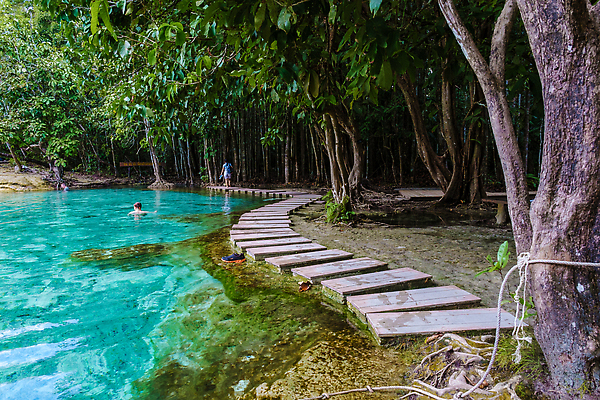 포토 JPG 해외이미지 나무 모자 행복 호수 여행 잎 태국 추상 휴가 산 풍경 두명 목재 초록색 물 파란색 햇빛 뷰티 여행객 환경 하이킹 연못 신선 숲 열대우림 크리스탈 에메랄드 내추럴 고립 민물 열대기후 터키석 해외202310 해외포토 자연요소 식물 잡화 감정 아시아 컬러 무늬 재료 레저 사람 태양 광석 보석 파일형식