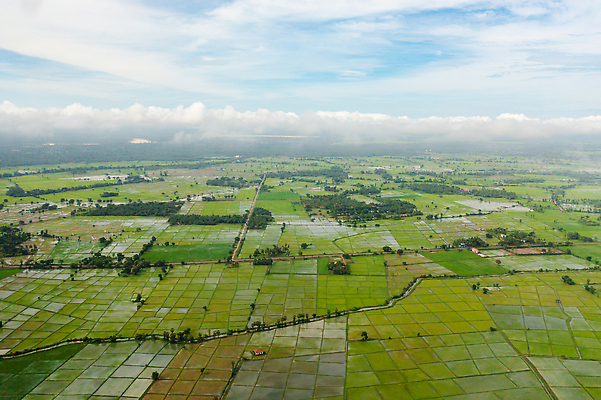 포토 JPG 해외이미지 나무 식물 구름 아시아 여행 농업 자연 밥 열대 파노라마 동양인 풍경 사람없음 초록색 하이앵글 농장 농경지 마을 수확 시골 땅 장면 항공촬영 논밭 밭일 스리랑카 심기 조감도 해외202310 해외포토 자연요소 나라 산업 음식 뷰포인트 컬러 밭 모션 논 촬영기법 인종 생태계 파일형식