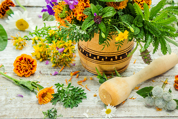 포토 JPG 해외이미지 꽃잎 꽃 잎 사람없음 바구니 방망이 약초 해외202310 해외포토 식물 풀_식물 파일형식