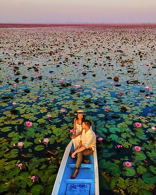 포토 JPG 해외이미지 식물 커플 여자 남자 꽃 아시아 호수 바다 분홍색 컬러 여행 잎 밭 태국 자연 하늘 아침 휴가 연꽃 풍경 야외 두명 빨간색 초록색 물 파란색 뷰티 반사 일출 일몰 벚꽃 연못 신선 개화 보트 백합 내추럴 해외202310 해외포토 주간 자연요소 나라 농업 배_교통 관계 사람 노을 생태계 파일형식