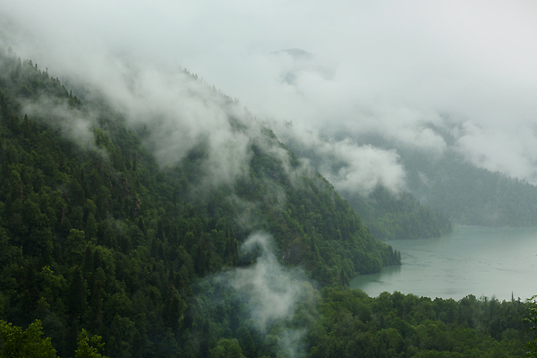 포토 JPG 해외이미지 나무 공원 호수 여행 백그라운드 자연 하늘 아침 날씨 산 사람없음 야외 물 강 반사 안개 숲 전나무 내추럴 뿌연 가문비나무 해외202310 해외포토 주간 자연요소 식물 공공시설 생태계 파일형식