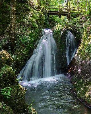 포토 JPG 해외이미지 나무 식물 유럽 여행 자연 독일 파노라마 사람없음 야외 물 관광지 강 환경 계곡 하이킹 개울 숲 생태계 내추럴 해외202310 해외포토 자연요소 나라 레저 촬영기법 파일형식