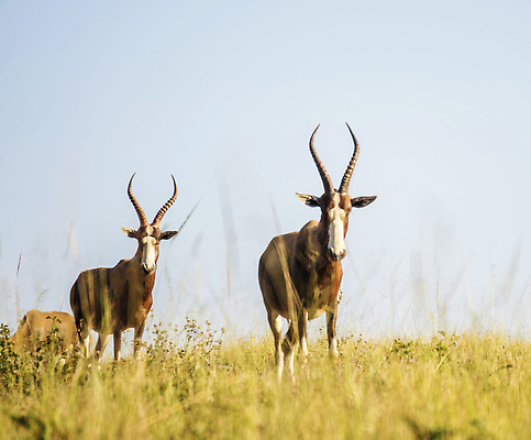 포토 JPG 해외이미지 동물 여행 조류 사람없음 여행객 해외202310 해외포토 사람 파일형식