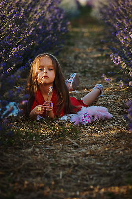 포토 JPG 해외이미지 식물 라이프스타일 긴머리 응시 드레스 여자 꽃 행복 얼굴 어린이 백그라운드 꽃무늬 밭 자연 휴식 한명 미소 사람 야외 뷰티 보라색 화목 기쁨 낭만 자유 표현 개화 작음 제비꽃 냄새 아로마테라피 라벤더 프로방스 해외202310 해외포토 1 헤어스타일 시선 옷 감정 컬러 컨셉 무늬 농업 표정 생활 신체부위 크기 허브 생태계 테라피 파일형식