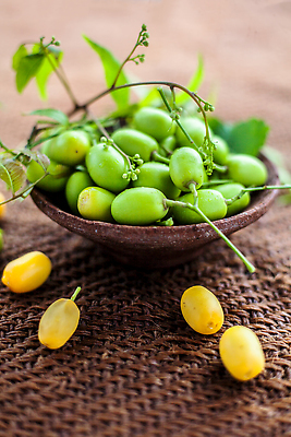 포토 JPG 해외이미지 잎 농업 휴식 귤 건강 사람없음 초록색 약 건강관리 스파 화장품 약재 나뭇가지 약초 기름 자르기 인도인 약국 날것 자연백그라운드 농약 치료제 해외202310 해외포토 외국인 나무 식물 산업 음식 컬러 백그라운드 컨셉 과일 의학 모션 자연 관리 동양인 뷰티 풀_식물 파일형식