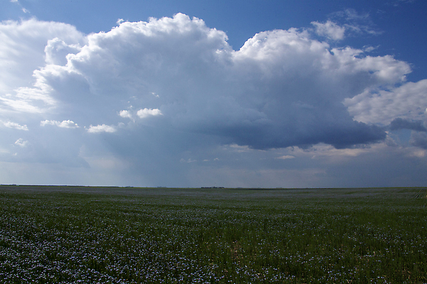 포토 JPG 해외이미지 구름 캐나다 자연 하늘 날씨 풍경 사람없음 야외 여름 뷰티 환경 어둠 시골 위험 폭풍 내추럴 뇌우 폭풍우 해외202310 해외포토 자연요소 계절 컨셉 북아메리카 비_날씨 자연재해 생태계 파일형식