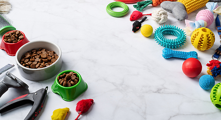 포토 JPG 해외이미지 밧줄 인형 공 사람없음 하이앵글 흰색 개밥그릇 개뼈다귀 애견빗 해외202310 해외포토 반려용품 그릇 줄 뷰포인트 컬러 오브젝트 애견용품 애견간식 파일형식