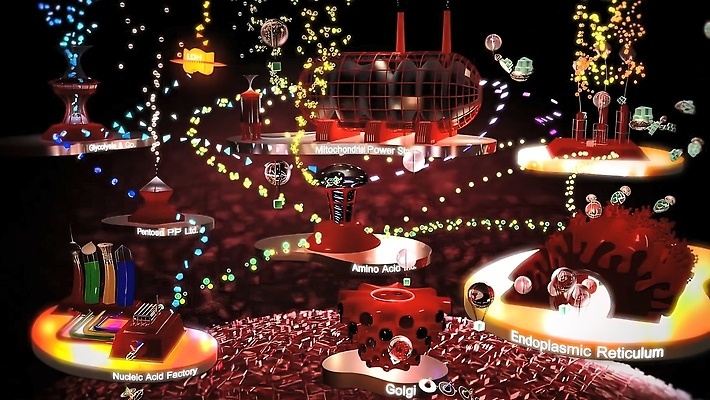 포토 JPG 해외이미지 과학 추상 세포 현미경 사람 사람없음 약 3D 건강관리 계란 바이러스 확대 질병 DNA 생명공학 묘사 생물학 미생물 분열 박테리아 다리찢기 곱셈 분할 유전 해외202310 해외포토 교육 무늬 의학 모션 생물 건강 실험기구 관리 알 수학 디지털합성 파일형식