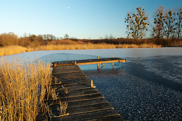 포토 JPG 해외이미지 나무 계절 호수 여행 백그라운드 겨울 자연 하늘 낚시 날씨 갈대 풍경 사람없음 야외 목재 물 파란색 빛 햇빛 뷰티 평화 항구 냉동 얼음 침묵 황혼 일몰 추위 연못 널 저녁 방파제 서리 장면 단상 폴란드 내추럴 수평선 비어있는 해외202310 해외포토 자연요소 식물 공공시설 유럽 컬러 컨셉 재료 교통시설 레저 태양 노을 소리 야간 생태계 파일형식