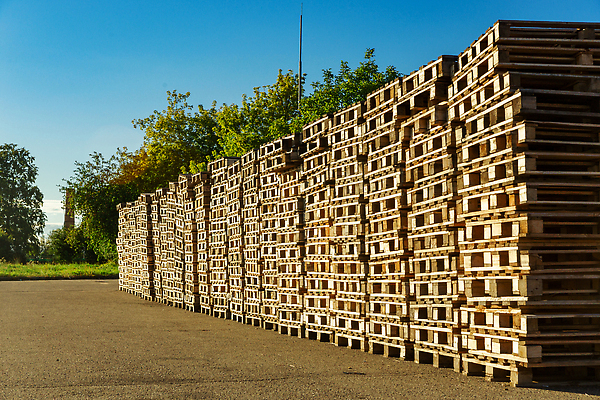 포토 JPG 해외이미지 산업 백그라운드 비즈니스 포장 공장 교통시설 하늘 벽돌 양말 사람없음 야외 목재 쌓기 환경 블록 재활용 장비 유로 화물 널 주식 컨테이너 다발 천 창고 무역 상업 패키지 수납 잡동사니 단상 물류 분배 수목 해외202310 해외포토 나무 교통 돈 재료 공업 모션 금융 운송업 직물 시설 친환경 파일형식