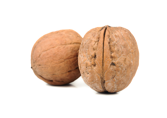 포토 JPG 해외이미지 음식 컬러 백그라운드 2 과일 재료 자연 건조 건강 사람없음 목재 갈색 견과류 껍질 흰색 신선 정상 먹기 가득함 오브젝트 유기농 알맹이 날것 호두 내추럴 고립 깨짐 해외202310 해외포토 나무 웰빙 컨셉 모션 생태계 파일형식