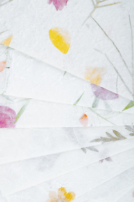 포토 JPG 해외이미지 식물 꽃잎 꽃 종이 백그라운드 잎 꽃무늬 패턴 태국 자연 추상 미술 사람없음 가로 컬러풀 나뭇가지 거친 질감 핸드메이드 카피스페이스 해외202310 해외포토 나무 아시아 컬러 무늬 문화예술 공백 생태계 파일형식