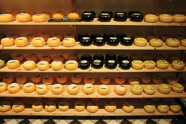 포토 JPG 해외이미지 전통 선 치즈 사람없음 노란색 세일 쌓기 상점 우유 신선 상품 네덜란드 소매 줄서기 해외202310 해외포토 유럽 컬러 모션 유제품 파일형식