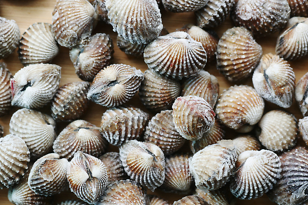 포토 JPG 해외이미지 접시 아시아 음식 조각 조개 건강 어류 사람없음 껍질 신선 시장 묘사 질감 날것 내추럴 해외202310 해외포토 식기 나라 어패류 수중동물 파일형식