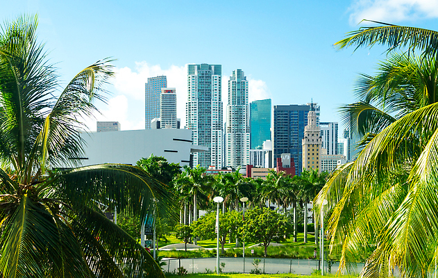 포토 JPG 해외이미지 주간 도로 건축양식 거리 손바닥 사람없음 건물 야자수 맑음 미국 도시 센터 도심 랜드마크 마이애미 플로리다 해외202310 해외포토 자연요소 나무 건축물 손 건축 길 북아메리카 교통시설 날씨 파일형식