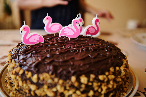 포토 JPG 해외이미지 라이프스타일 기념일 행복 어린이 가정 휴가 불꽃 기념 선물 한명 사람 이벤트 파티 과자 축제 놀람 기쁨 빵집 견과류 축하 달콤 맛 불기 굽기 연소 페스츄리 맛있는 해외202310 해외포토 1 감정 빵 컨셉 모션 불 디저트 표정 생활 상점 구이 파일형식