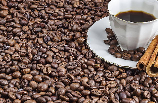 포토 JPG 해외이미지 전통 커피 음료 음식 컬러 백그라운드 아침 콩 따뜻함 사랑 미술 씨앗 사람없음 컵 갈색 검은색 어둠 이탈리아 카페 에너지 머그컵 시골 신선 최고 닫기 맛 아침식사 낟알 굽기 향기 아로마 향 에스프레소 내추럴 단절 시나몬 아랍어 오리지널 카페인 억울 브라질사람 맛있는 해외202310 해외포토 주간 식물 식기 감정 유럽 컨셉 모션 문화예술 곡류 상점 식사 구이 냄새 파일형식