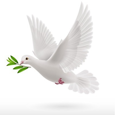 EPS 해외이미지 동물 백그라운드 컨셉 잎 날개 과일 일러스트 자연 조류 하늘 아이디어 사랑 여름 파란색 반려동물 평화 희망 침묵 자유 성장 흰색 나뭇가지 영혼 우아함 심볼 순수 깃털 사인 그림 올리브 비둘기 부리 심플 고립 해외202004 해외일러스트 나무 식물 계절 열매 감정 컬러 소리 생태계 파일형식 벡터