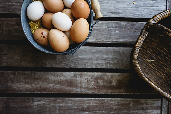 포토 JPG 해외이미지 음식 건강 사람없음 갈색 계란 신선 상품 양동이 유기농 날것 내추럴 해외202004 해외포토 웰빙 컬러 알 파일형식