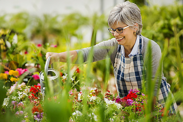 포토 JPG 해외이미지 식물 직업 여자 행복 중년 한명 사람 취미 정원 앞치마 꽃집 물주기 원예 정원가꾸기 온실 중년여자한명만 해외202004 해외포토 1 감정 모션 성인 상점 여자한명만 중년여자만 파일형식