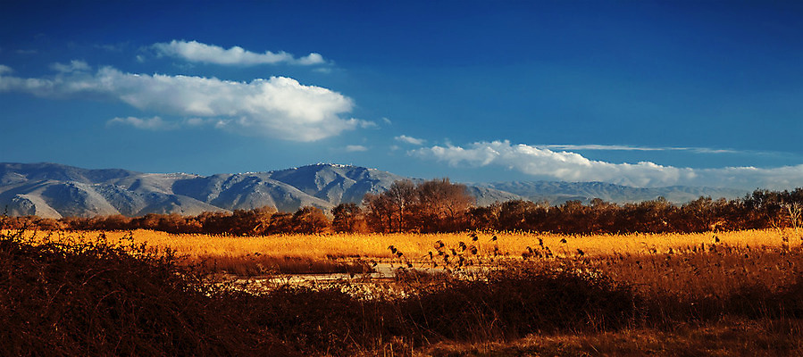 포토 JPG 해외이미지 나무 식물 구름 계절 여행 밭 오렌지 자연 하늘 날씨 산 건조 파노라마 풍경 잔디 초원 사람없음 야외 파란색 햇빛 노란색 환경 계곡 가을 바위 시골 황금 고독 땅 밀 언덕 장면 땅바닥 스텝 수평선 해외202004 해외포토 자연요소 감정 컬러 농업 과일 곡류 바닥 촬영기법 태양 돌_바위 생태계 파일형식