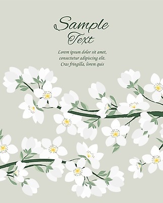 EPS 해외이미지 나무 식물 전통 디자인 계절 꽃잎 꽃 문화 줄기 결혼 백그라운드 잎 꽃무늬 패턴 일러스트 자연 벽지 추상 프레임 미술 그래픽 장식 초록색 여름 환경 정원 봄 낭만 벚꽃 흰색 나뭇가지 축하 인사 신용카드 개화 사과 심볼 그림 초대 엘리먼트 스타일 해외202004 해외일러스트 컬러 컨셉 무늬 과일 문화예술 이벤트 금융 예절 생태계 파일형식 벡터