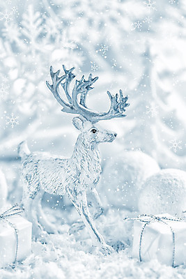 포토 JPG 해외이미지 배너 계절 백그라운드 크리스마스 겨울 공 벽지 휴가 사슴 새로움 기념 매달리기 이벤트 사람없음 장식 빛 반짝임 축제 장식볼 흰색 나뭇가지 인사 신용카드 눈송이 우아함 은색 12월 연도 심볼 서리 노엘 제설기 폭설 해외202004 해외포토 나무 기념일 컬러 컨셉 포유류 모션 눈_날씨 금융 예절 날짜 자연재해 제설 파일형식