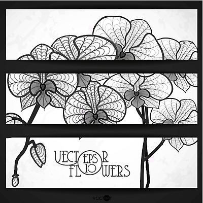 EPS 해외이미지 식물 디자인 꽃잎 꽃 백그라운드 꽃무늬 패턴 일러스트 비즈니스 자연 추상 미술 장식 검은색 봄 벚꽃 흰색 나뭇가지 난초 스케치 그림 윤곽 고립 해외202004 해외일러스트 나무 계절 컬러 무늬 문화예술 생태계 파일형식 벡터